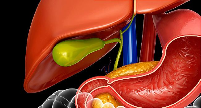 Gallbladder
